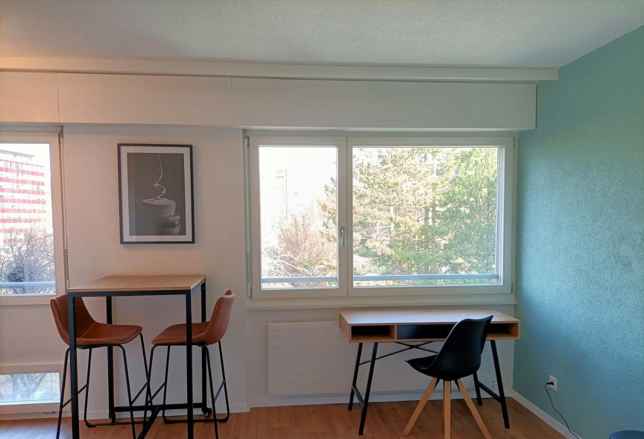Lumineux Bien Placé En De Appartement Sion
